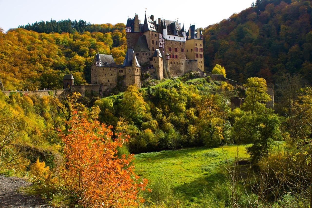Tiny House Natur-Traum Zur Burg Eltz Wierschem Exterior photo
